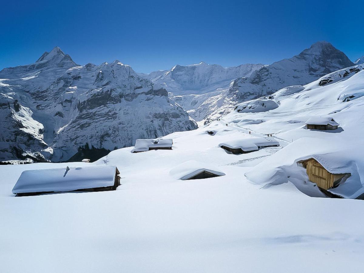 Holiday Home Chalet Ahornen By Interhome Grindelwald Extérieur photo
